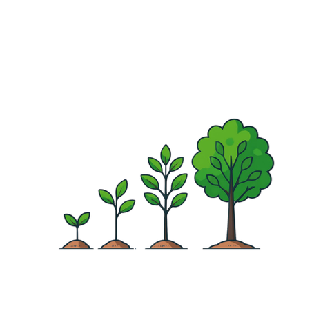 איור של רצף צמיחת עץ