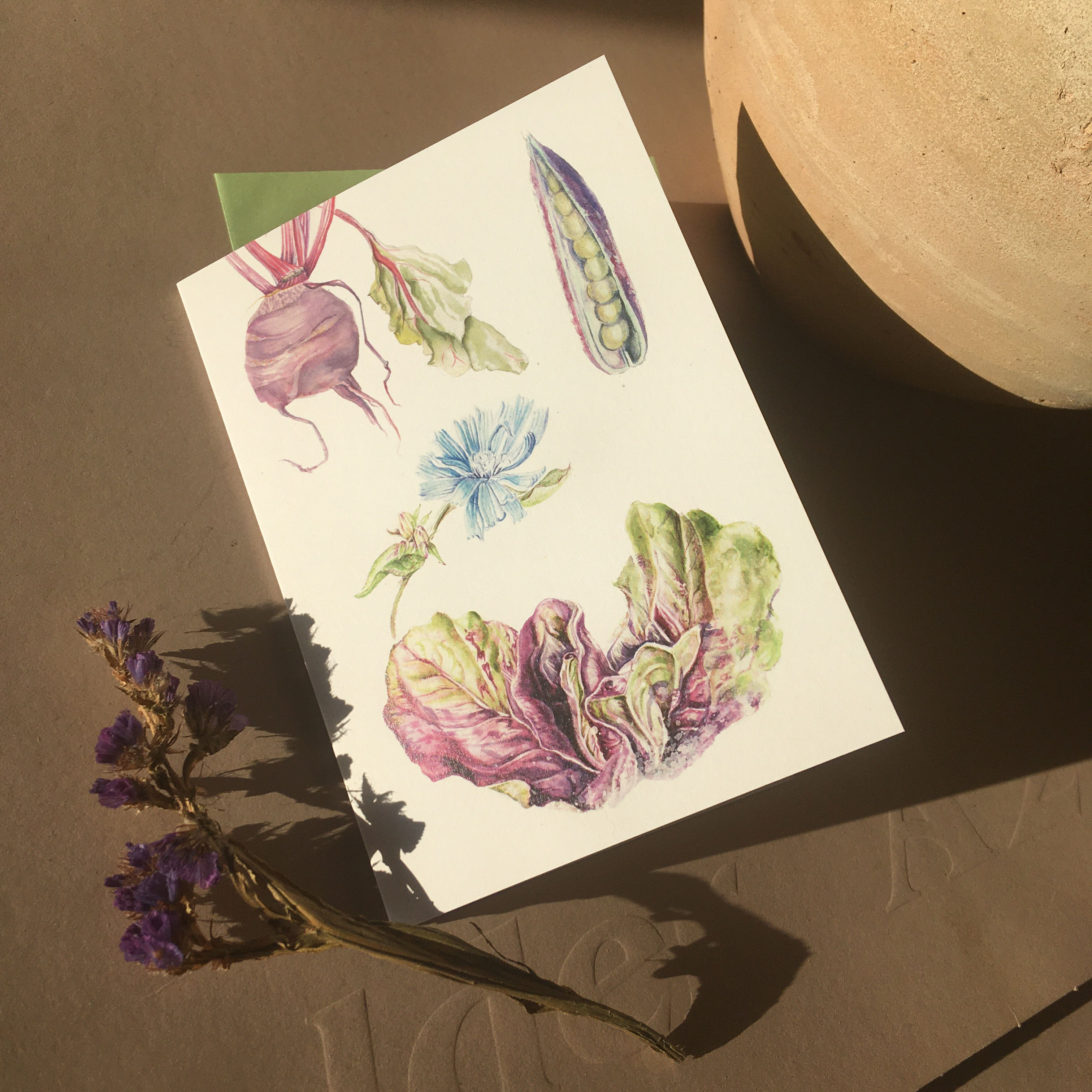 Radicchio & veg - A6 Greeting cards