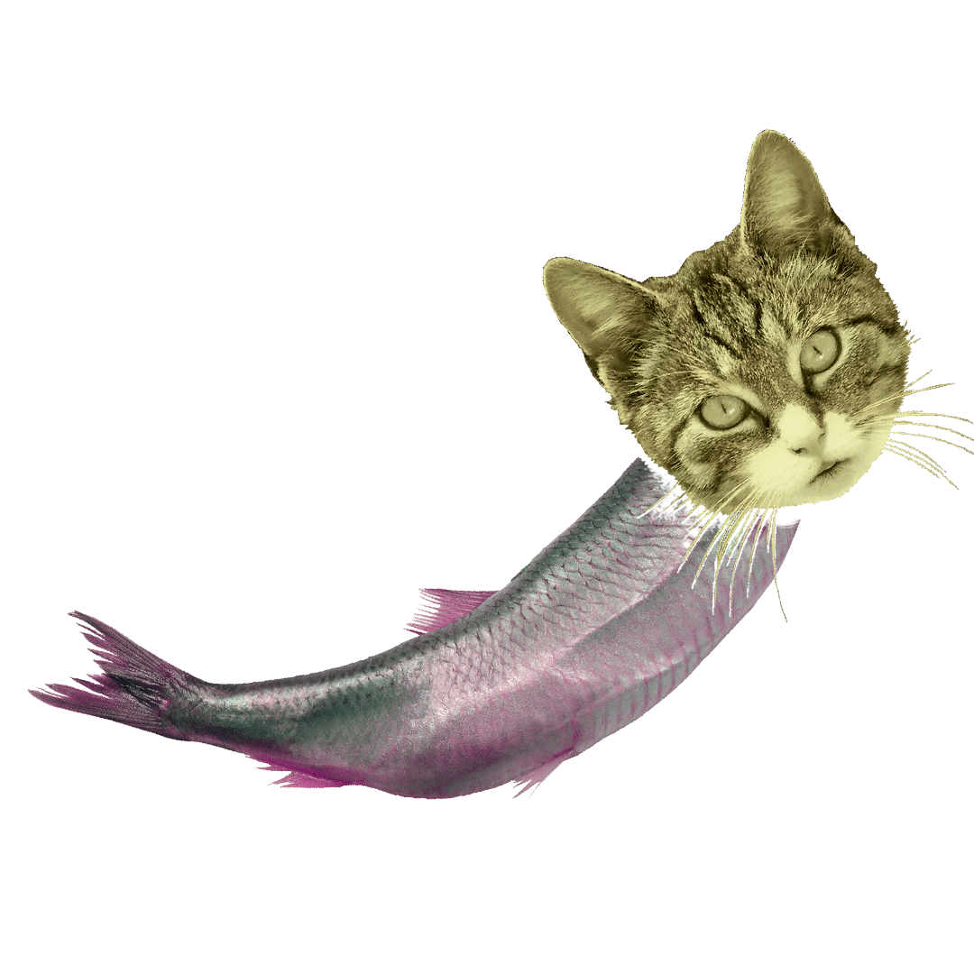 catfish.gif