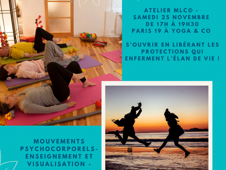 Se libérer de nos protections - atelier du 25 Novembre à Paris 19ème (avec des mouvements de MLC©)