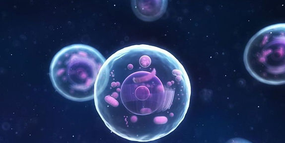 celula-e1523472422656 (1).jpg