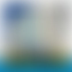 PRONAGOV abre ciclo de mentorias 2026 com a Câmara Municipal de Itajaí/SC