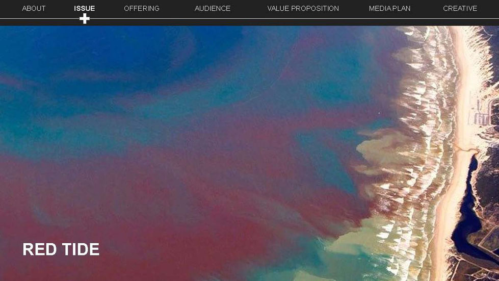 DESIGN SYSTEM- Progress Presentation 2_Page_11