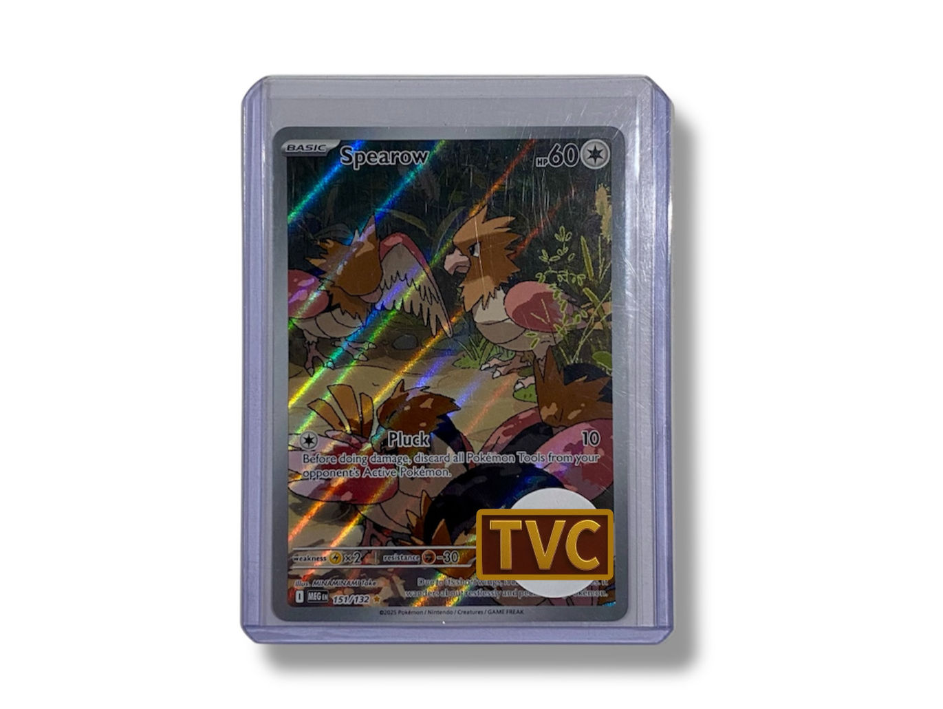 Pokémon card featuring two brown characters with visible text, TVC label, and foliage detailing.