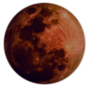 kt-h1ZTJrjVcLA-unsplash_edited.png