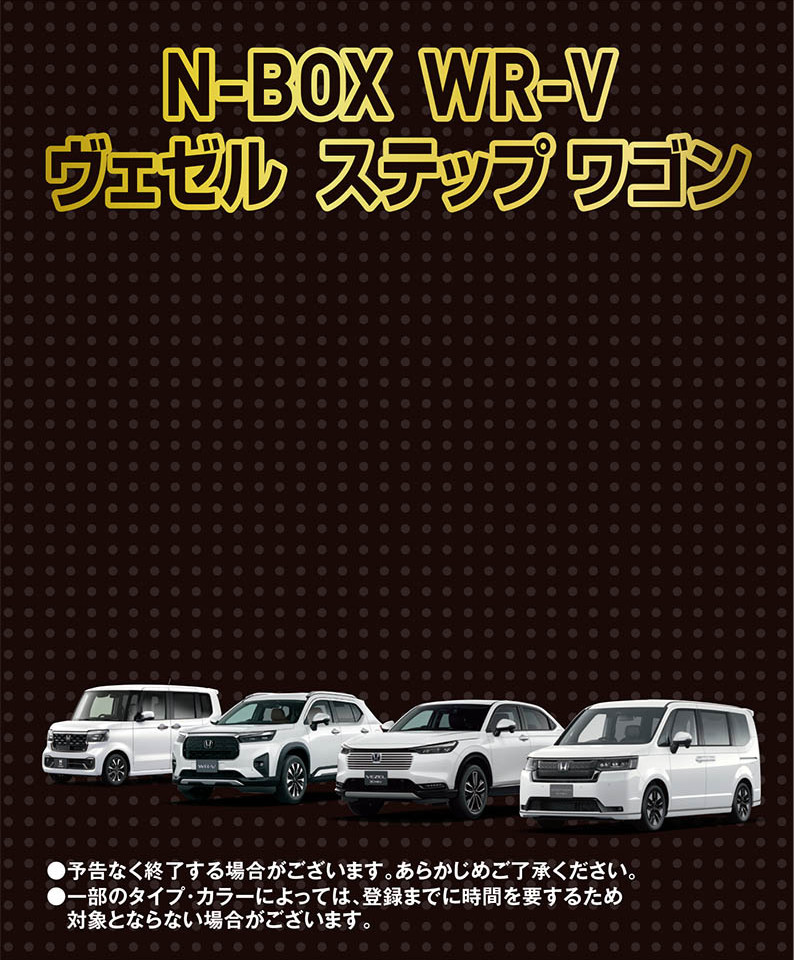 4車種1.9%バック.jpg