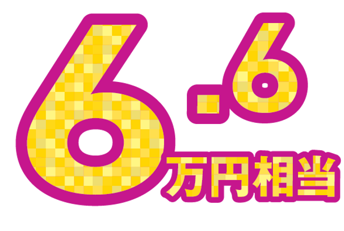 6.6万円相当_1.5x.png