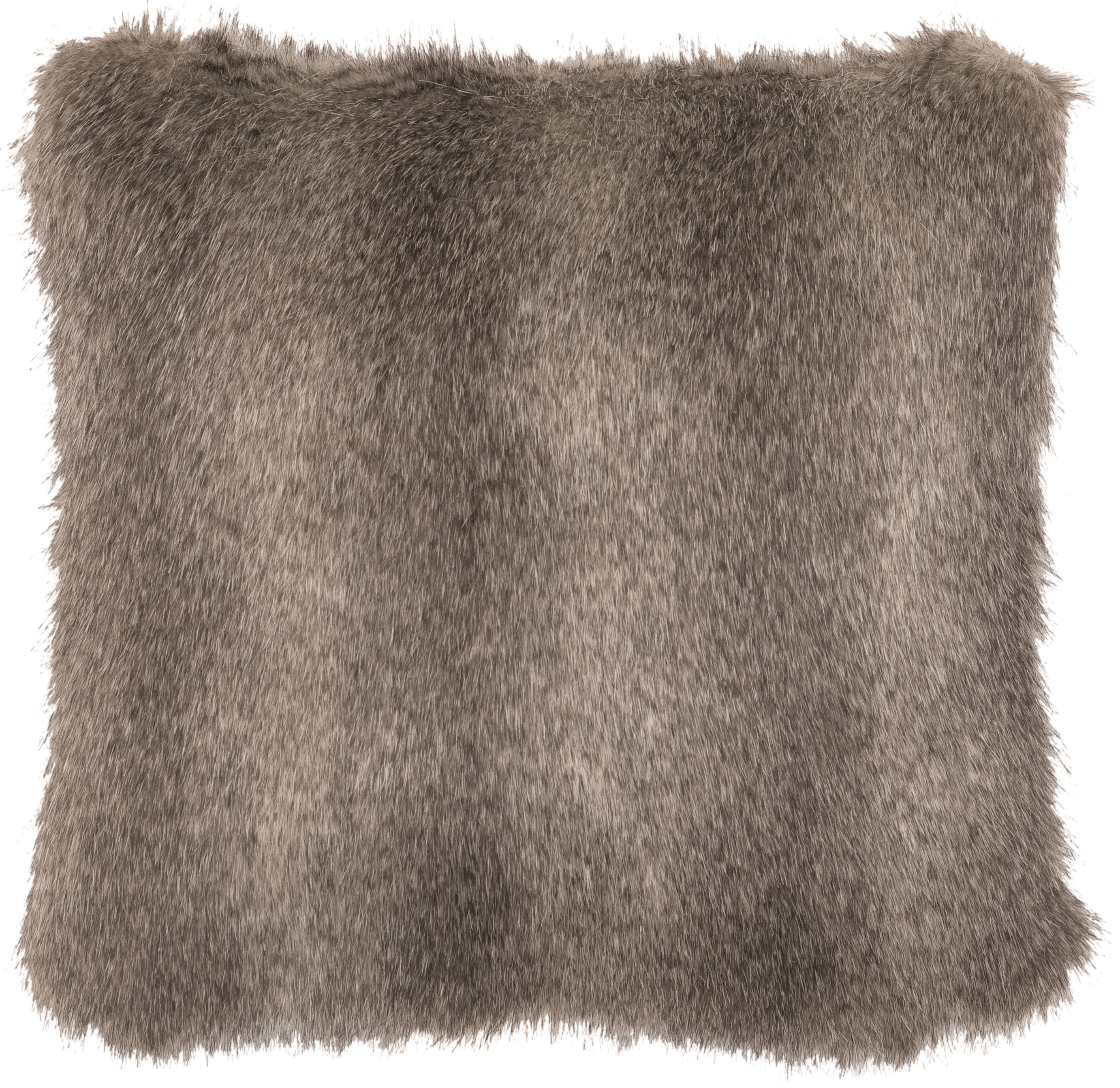 Cape Grey Fox Euro Cover