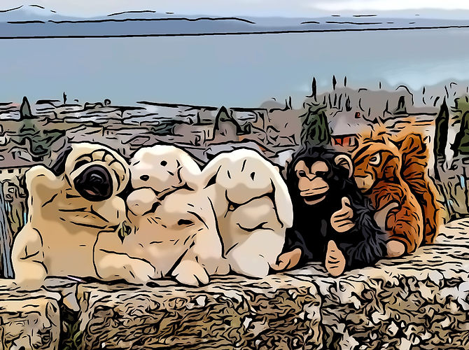 Les peluches enchantées