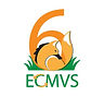 ECMVS_versao1_comemorativa6-menor_edited