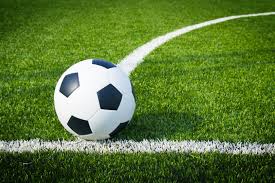 Sports Turf