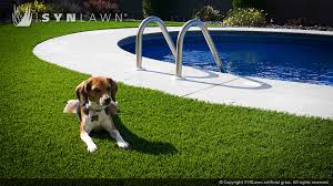 Pet Areas