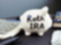 Roth IRA piggy bank