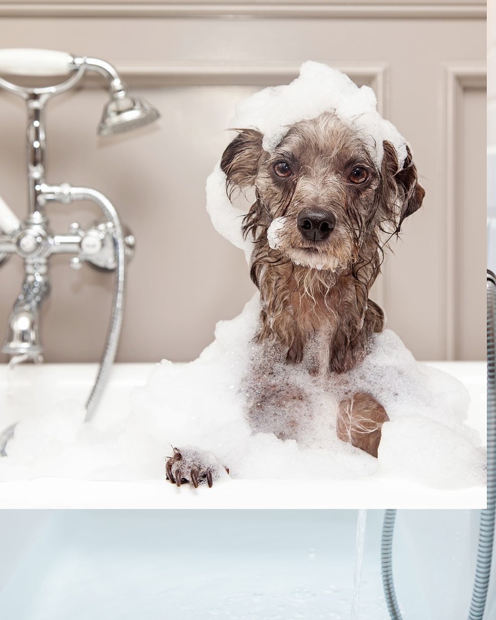 How To Set A Realistic Bathroom Remodel Budget (Without Overspending)