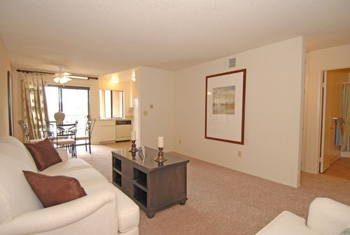 Apartment Living Room