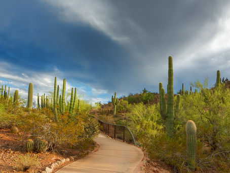 Arizona should be your FALL getaway!