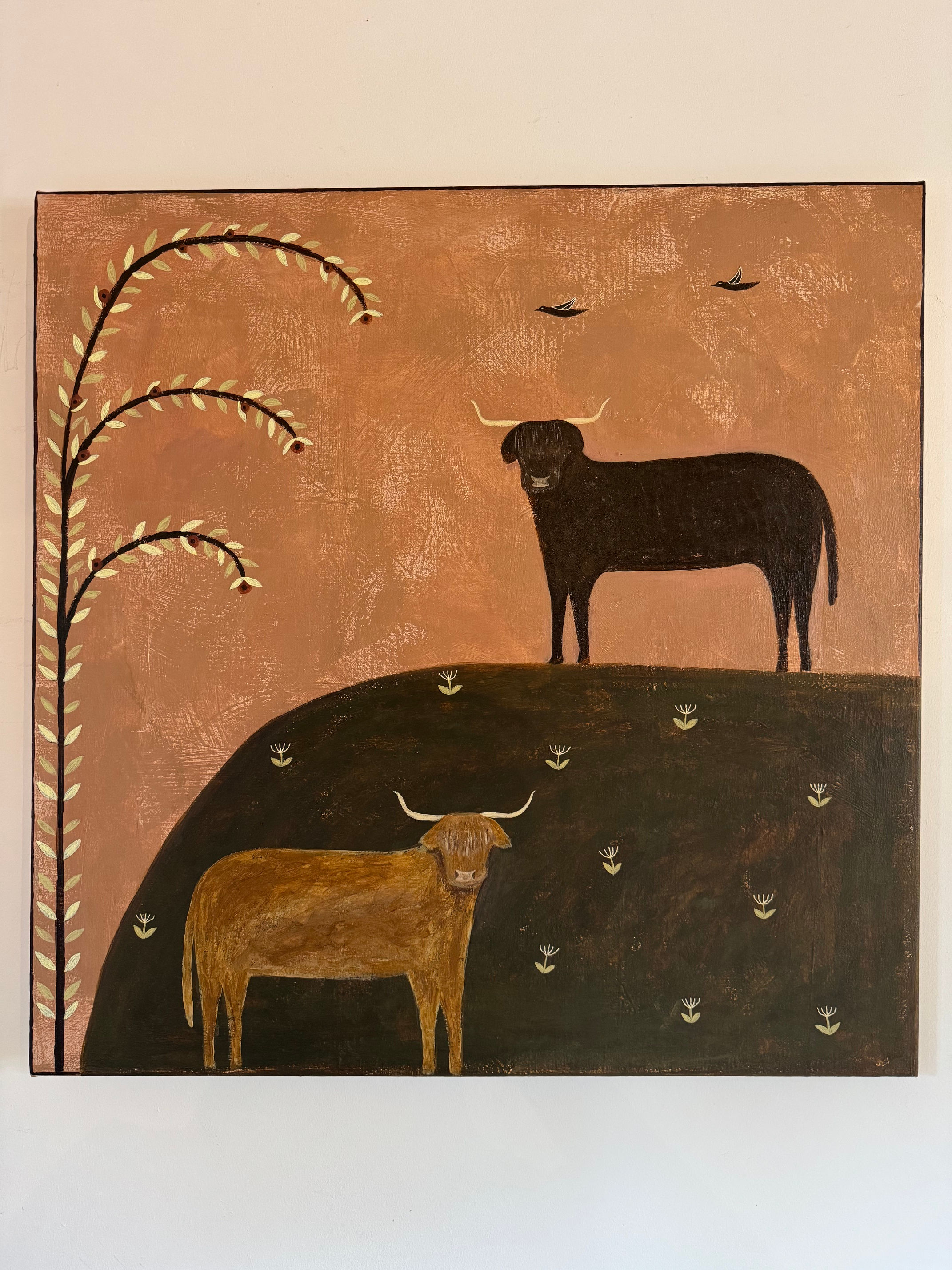 Highland Cows
