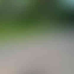 Muret jardin fini avec couvertine alu et bordure pavée passage tondeuse Rambouillet.