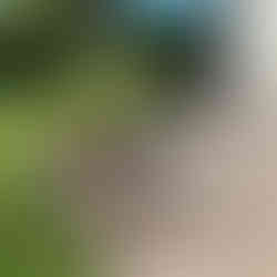 Mur jardin silex et pierre dessellé GDS Construction maçonnerie Yvelines.