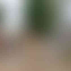 Avant – Entrée avec mur droit et allée gravier, Rambouillet (78)