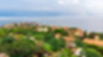 Untitled design (66)_edited.jpg