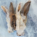 Hairy Fur On Rabbit Ears