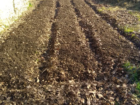 9 nouvelles planches plates remises en état depuis ce matin 😊