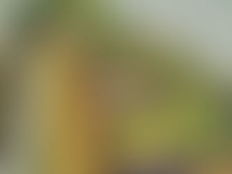 Petit rappel sur la vente en cours à la ferme