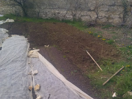 Dernières planches plates remises en état 😊