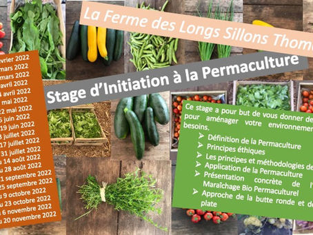 Il reste de la place pour le prochain stage d’initiation