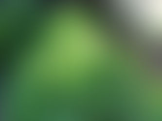 Les autres buttes « salades »