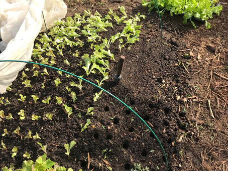 Suite des mises en place