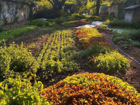 Formation Jardinier Permacole