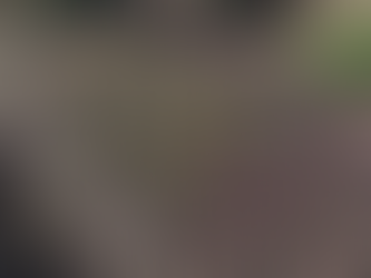 Dernières mises en place