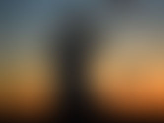 Réchauffement climatique : Près de 745 milliards de dollars ont été dédiés à l’énergie charbon, en t