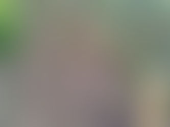 Courgettes, concombres et salades, avec et sans voile