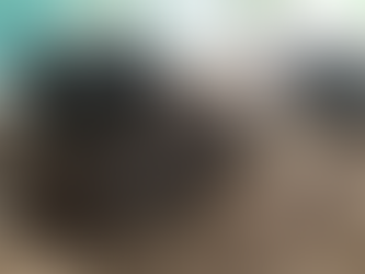 Suite des semis en cours pour la journée