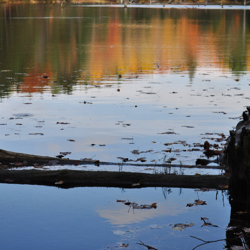 Algonquin Park in October