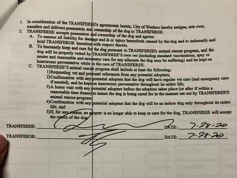 Weslaco shelter contract