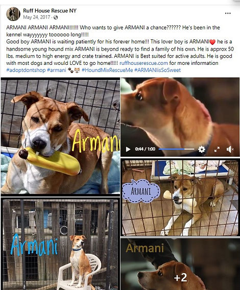 Armani post