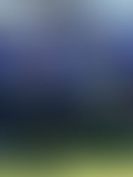 GC UNITE Winners 2026 - Auckland