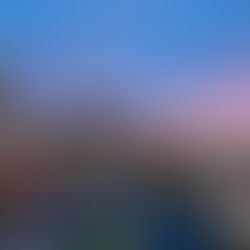 The Importance of Professional Website Design