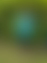 Senior Grade Silver Badges 2026