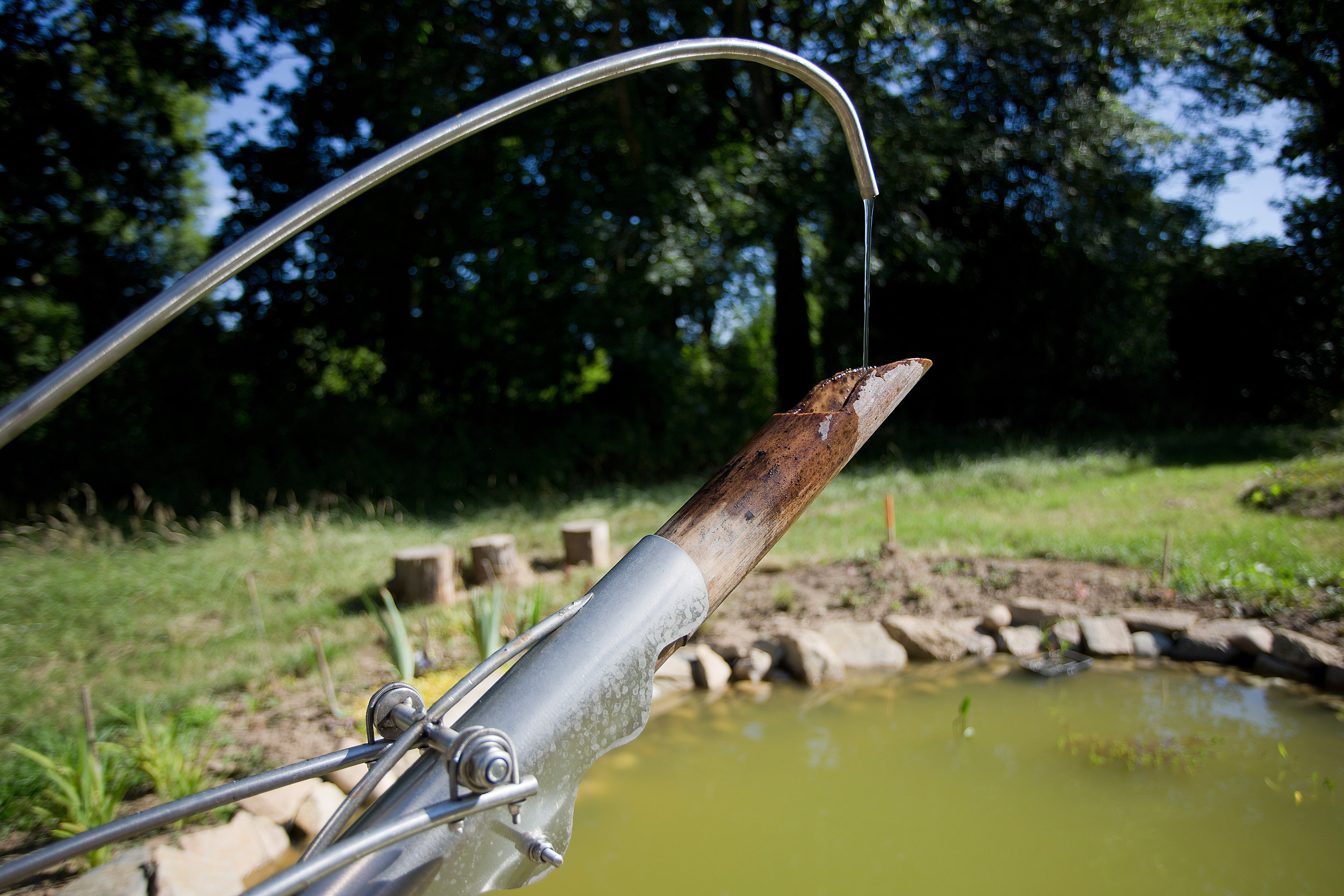 Poisson_Soluble_04