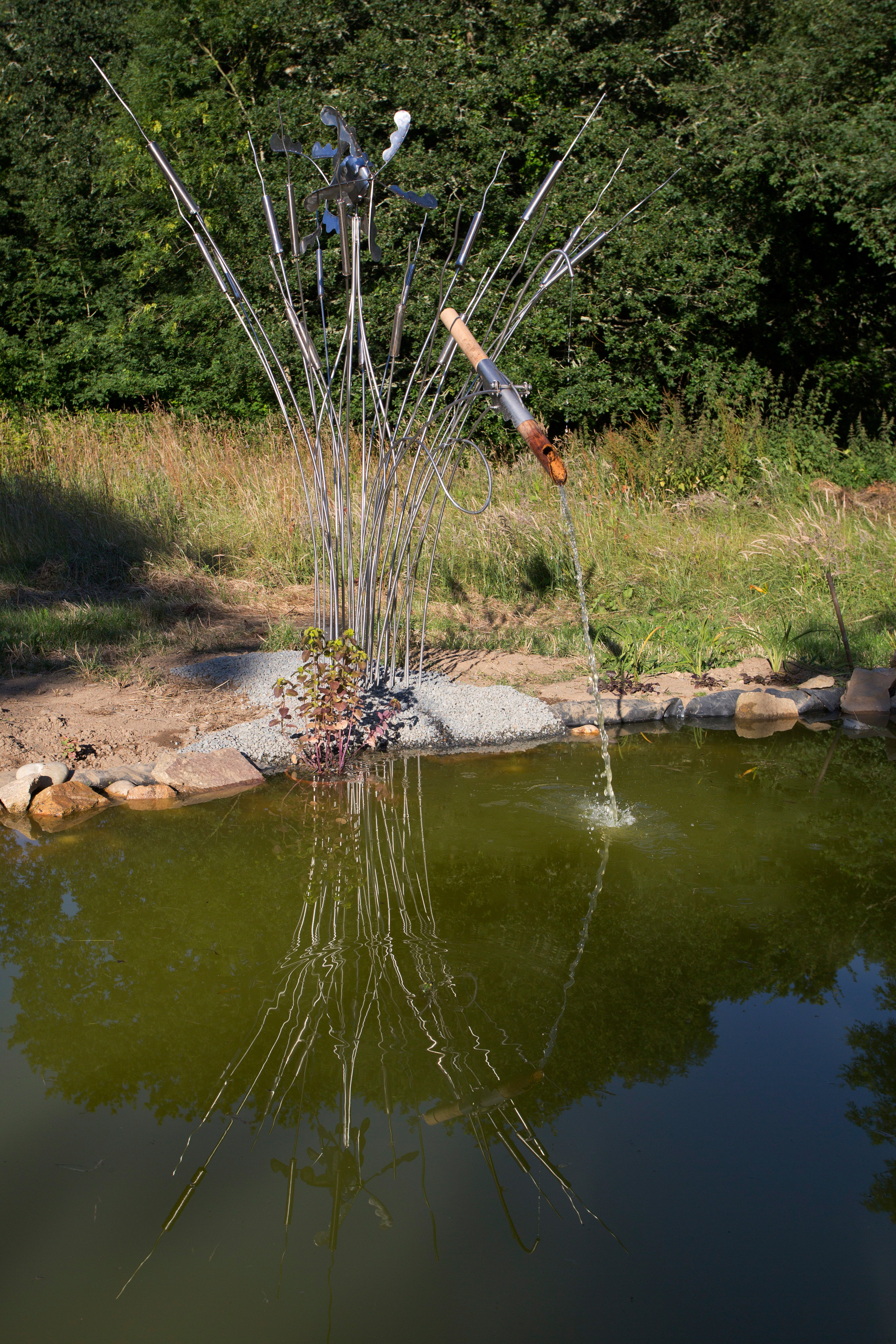 Poisson_Soluble_01