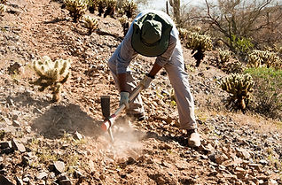 Man Digging Soil