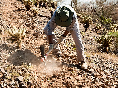 Man Digging