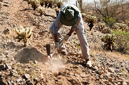 Ditch or Hole Digging