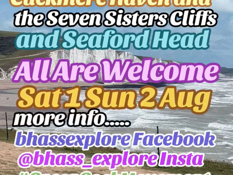 Beach Clean and Wildlife Habitat Cleaning Weekend at Cuckmere Haven - Sat 1st - Sun 2nd Aug