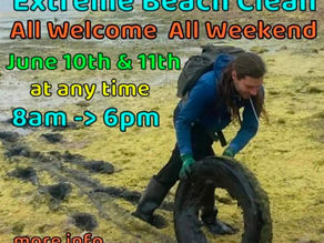 Cuckmere Haven - Extreme Beach Clean - June 10th & 11th - 8am - 6pm